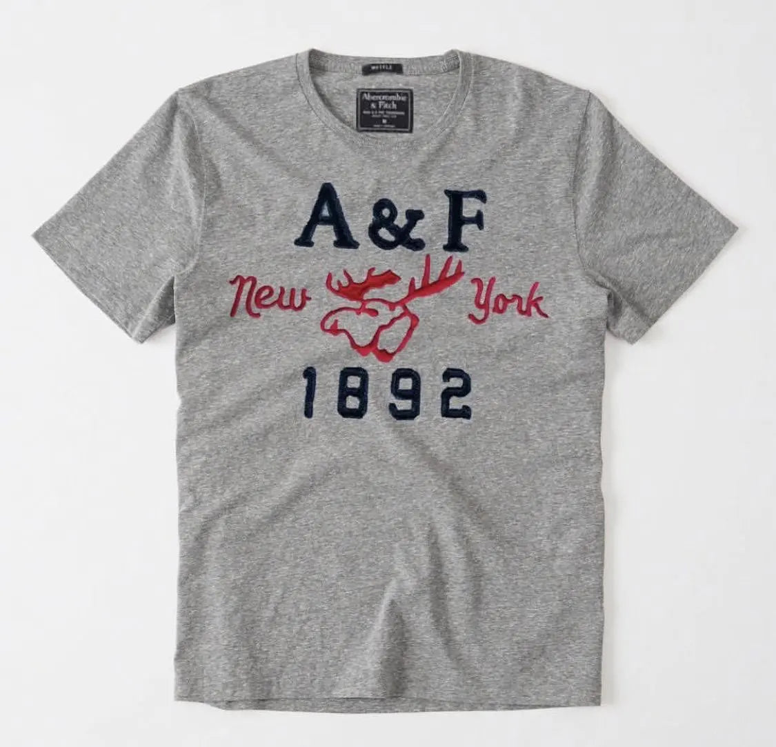 Camiseta A&F Cinza New York 1892